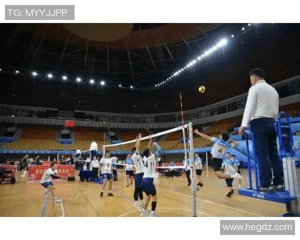 排球盛宴：深入解析西安排球队的实力与战术魅力