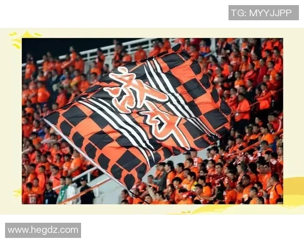 武汉足球队近期状态分析与未来展望聚焦球队发展与挑战