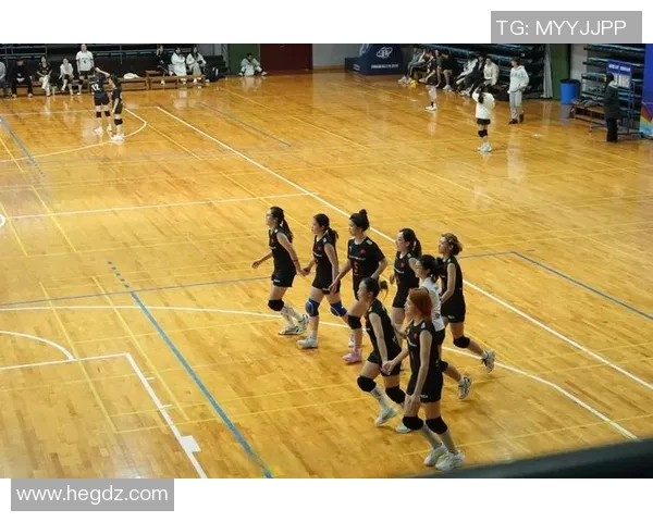 成都排球队逆袭之路揭秘世界锦标赛背后的奋斗与荣耀