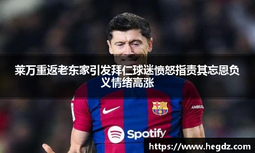 VSport官网入口vsport体育在线官网